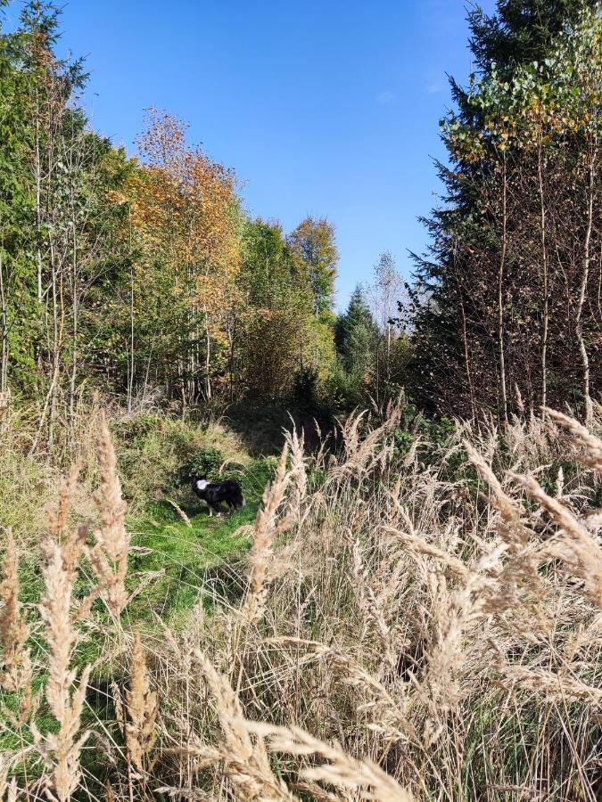 Matejovec 109 & Ubytovani Na Statku Český Rudolec Eksteriør bilde